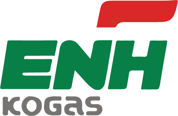 ENH KOGAS, SA website